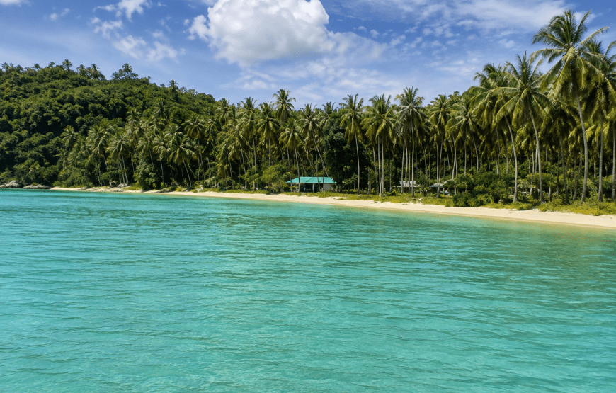 Phi Phi + Bamboo Island by Speedboat | Rattana Island Tour