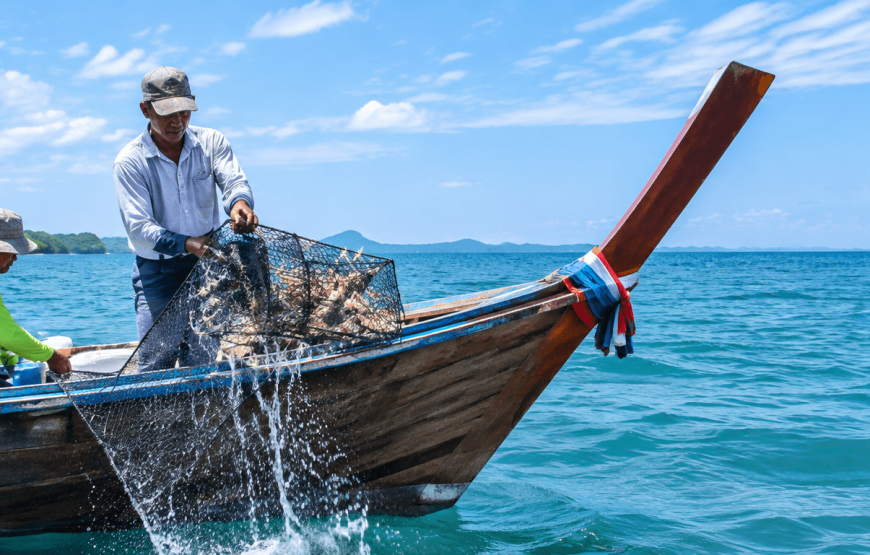 Mangrove & Shrimp Net Experience | Local Style