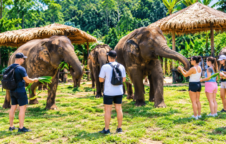 Elephant Experience & Klong Jak Beach 4 Hours | South Lanta Waterfall Safari