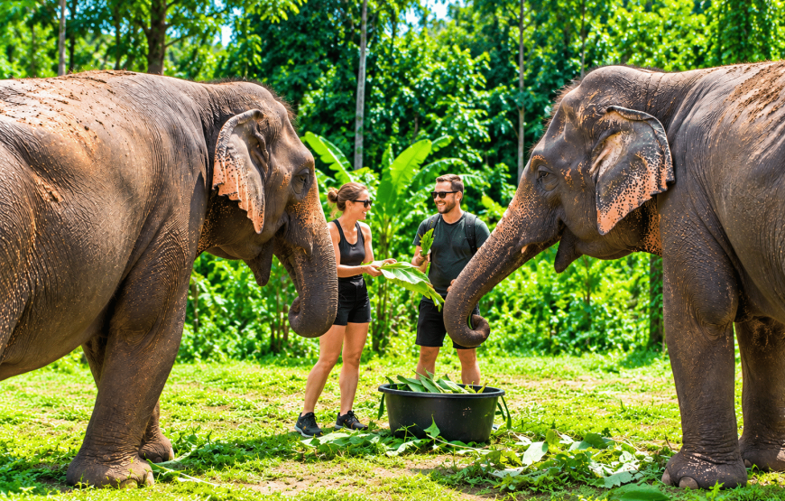 Elephant Experience, Klong Jak Waterfall & Cave 4 Hours | South Lanta Waterfall Safari