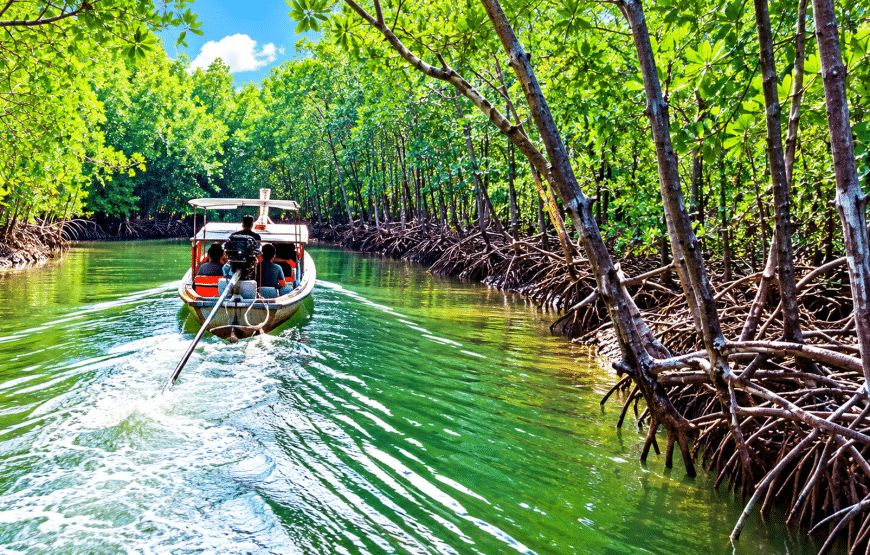 Mangrove Boat Trip with Local Guide + Lunch | Lanta Local Tour