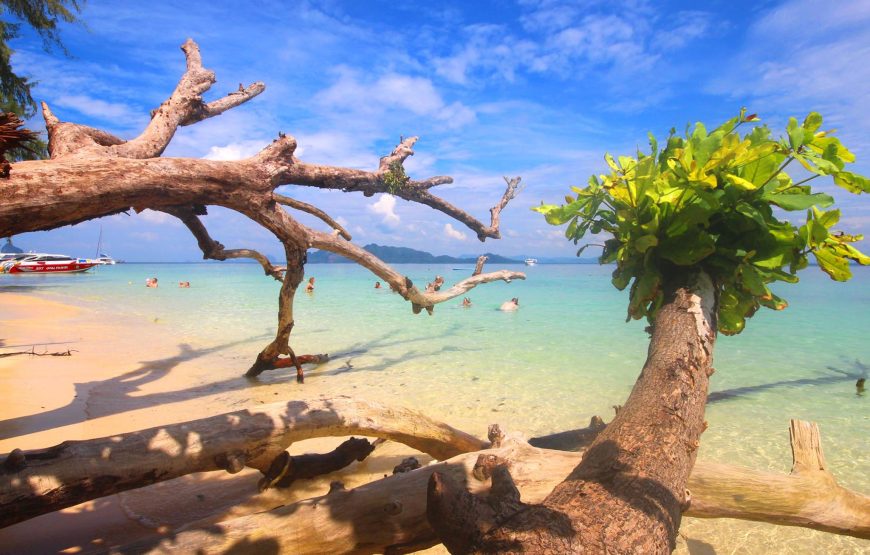 4 Islands & Emerald Cave One Day Snorkeling Tour by Speedboat from Koh Lanta | OPAL Travel