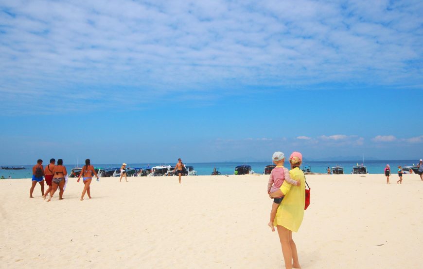 Phi Phi Islands & Maya Bay One Day Tour by Speedboat from Koh Lanta | OPAL Travel