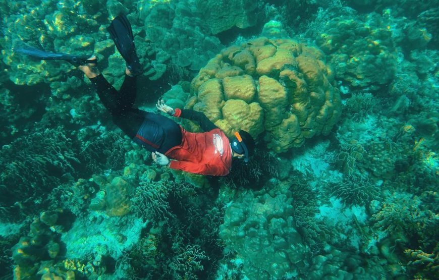 Koh Rok One Day Snorkeling Tour by Speedboat from Koh Lanta | OPAL Travel