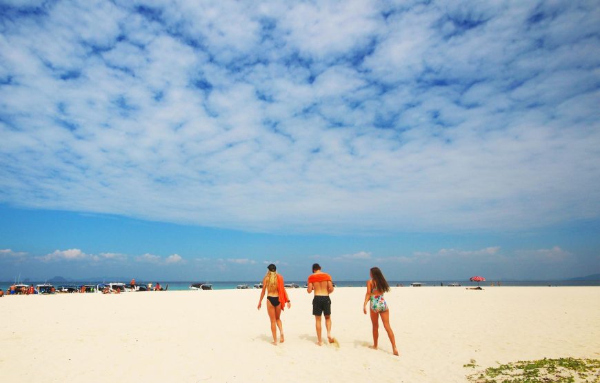 Phi Phi Islands & Maya Bay One Day Tour by Speedboat from Koh Lanta | OPAL Travel