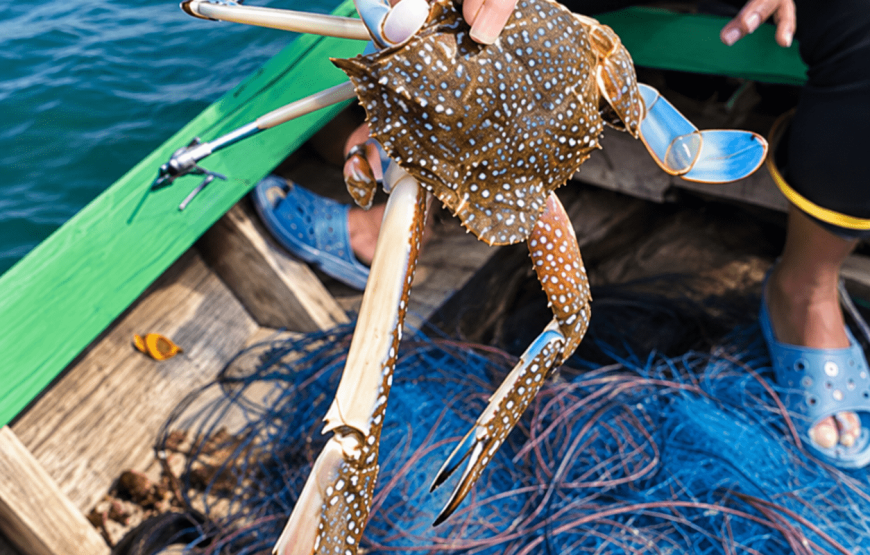 Catching Crab in the Mangrove Forest Half-Day Tour | Local Style