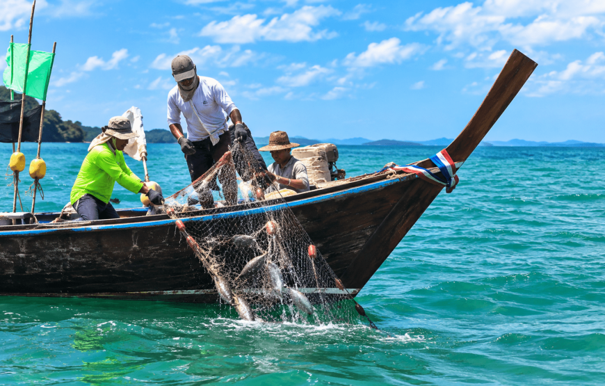 Fishing Trawling Private Experience – Up to 8 Pax | Local Style