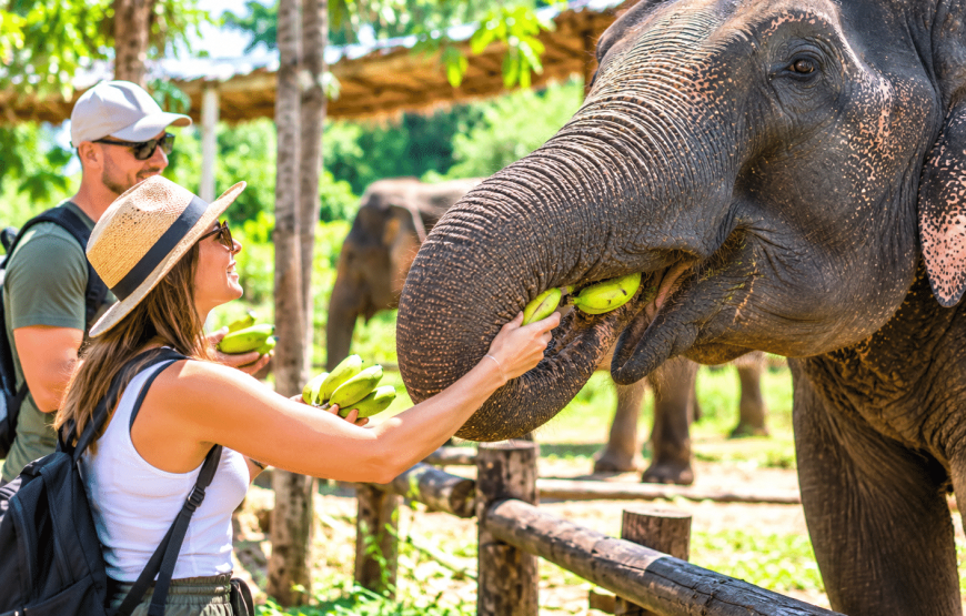 Elephant Experience & Klong Jak Beach 4 Hours | South Lanta Waterfall Safari