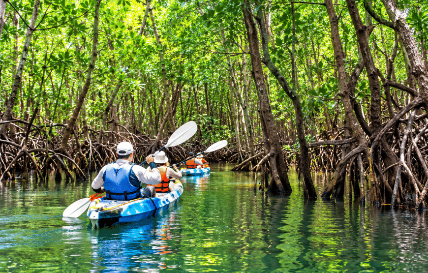 Cave Adventure and Sea Kayaking | Lanta Local Tour