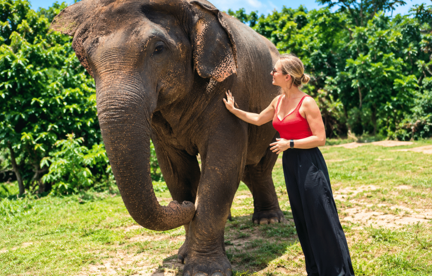 Elephant Experience 2 Hours | South Lanta Waterfall Safari