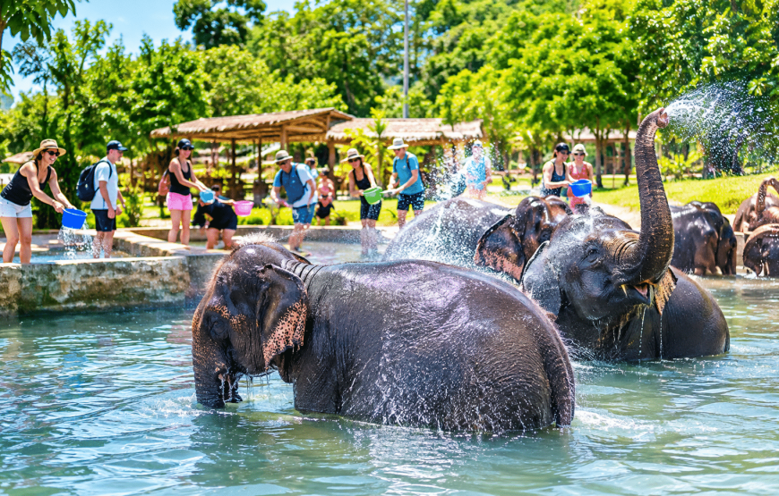 Elephant Experience & Klong Jak Beach 4 Hours | South Lanta Waterfall Safari
