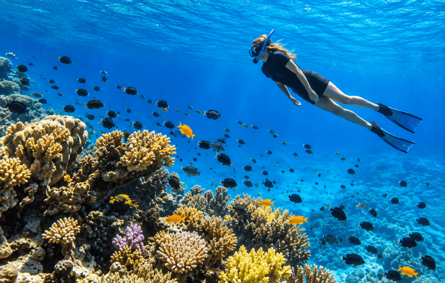 Koh Rok & Koh Haa Snorkeling Adventure by Speedboat from Koh Lanta | TIN Adventure Sea Tour