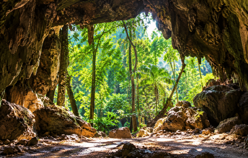 Elephant Experience, Klong Jak Waterfall & Cave 4 Hours | South Lanta Waterfall Safari