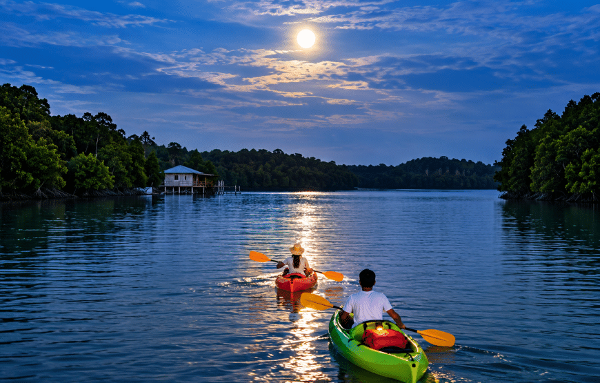 Lanta Sunset Bioluminescent Plankton and Sea Kayaking | Lanta Local Tour