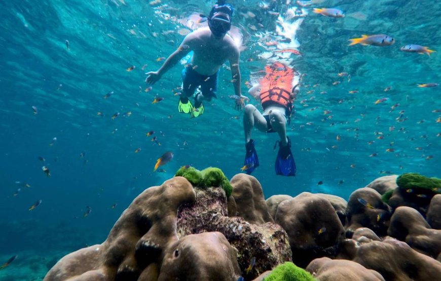 4 Islands & Emerald Cave One Day Snorkeling Tour by Speedboat from Koh Lanta | OPAL Travel