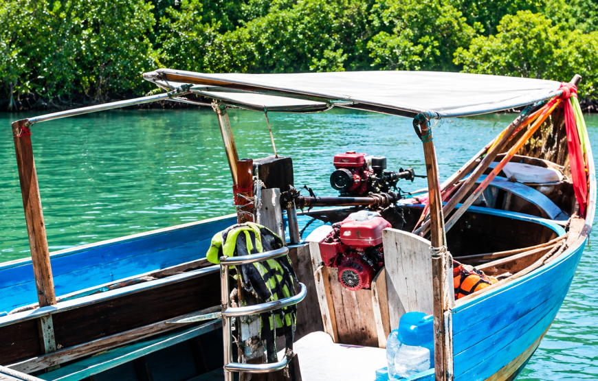 Mangrove Tour by Longtail Boat, Orchid Visit & Feed the Goats | Local Style