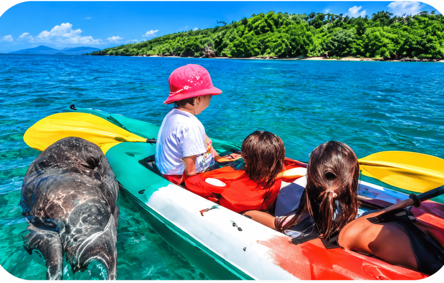 Lanta Old Town & Mangrove By Longtail Boat or Kayaking half-day Tour | Rainbow Lanta Travel & Tour