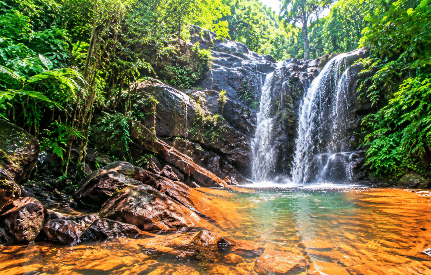 Elephant Experience, Klong Jak Waterfall & Cave 4 Hours | South Lanta Waterfall Safari