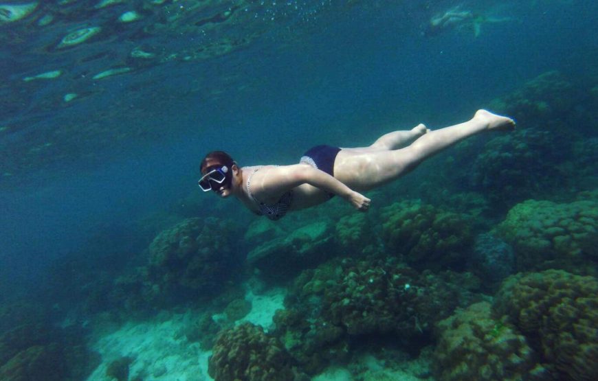 Koh Rok One Day Snorkeling Tour by Speedboat from Koh Lanta | OPAL Travel