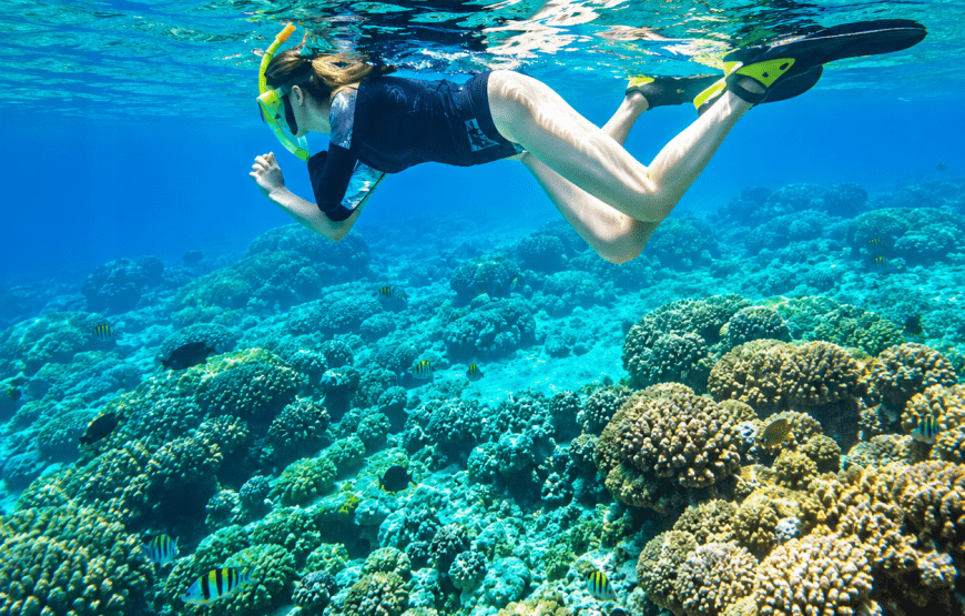 4 Islands One Day Snorkeling Trip by Longtail Boat from Koh Lanta | The Longtail Charter and Tours