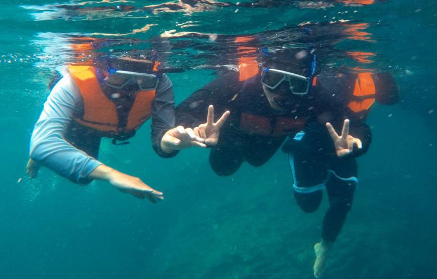 4 Islands & Emerald Cave One Day Snorkeling Tour by Speedboat from Koh Lanta | OPAL Travel