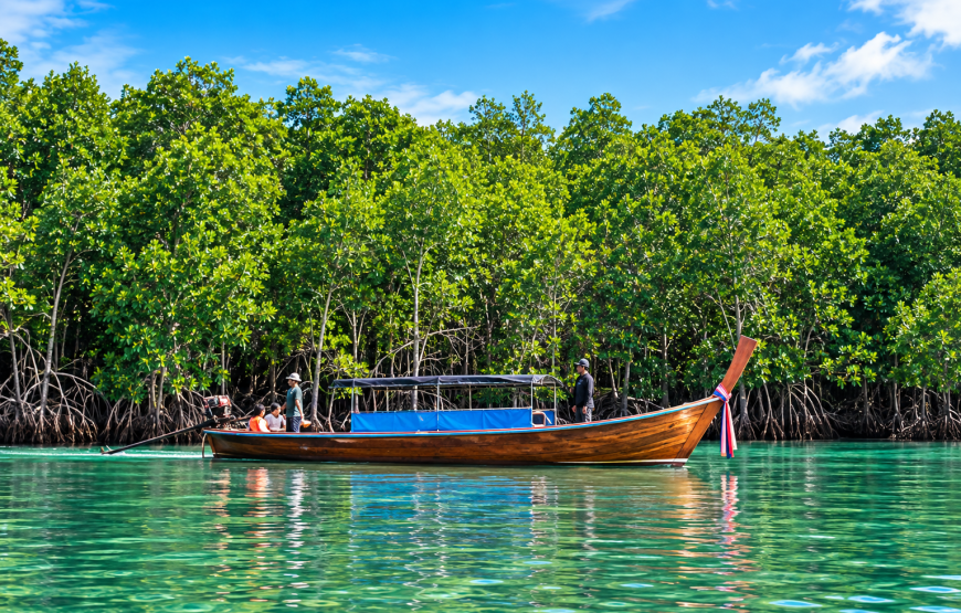 Koh Phee + Talabeng + Bubu Island + Mangrove  By Longtail Boat & Kayaking | Rainbow Lanta Travel & Tour