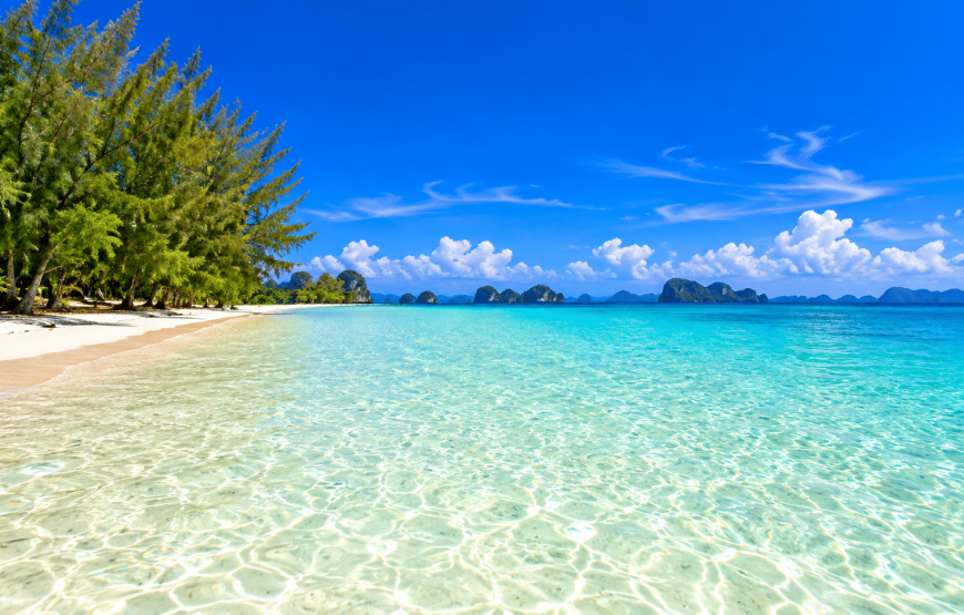 Phi Phi & Bamboo Island One Day Tour by Speedboat | Sinthongchai Speedboat Travel & Tour