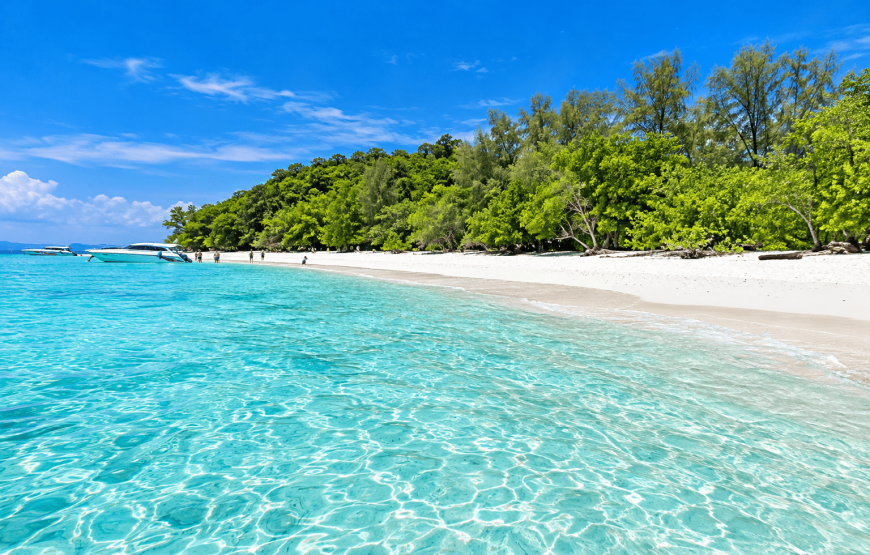 Phi Phi & Bamboo Island One Day Tour by Speedboat from Koh Lanta | TIN Adventure Sea Tour