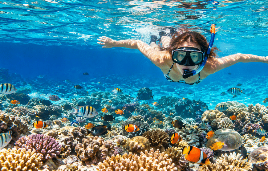 Phi Phi & Bamboo Island One Day Tour by Speedboat | Sinthongchai Speedboat Travel & Tour