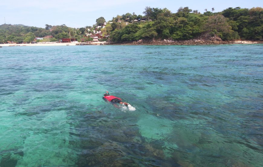 Phi Phi Islands & Maya Bay One Day Tour by Speedboat from Koh Lanta | OPAL Travel