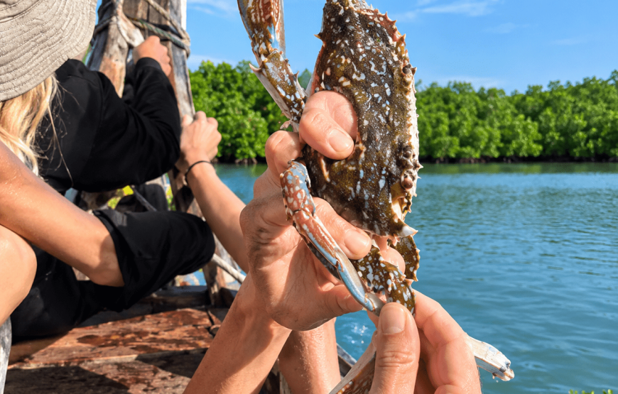 Catching Crab in the Mangrove Forest Half-Day Tour | Local Style