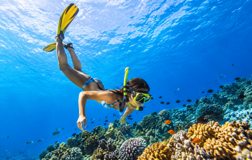 Koh Rok + Koh Haa Private Speedboat Charter – Up to 35 Pax | Rattana Island Tour