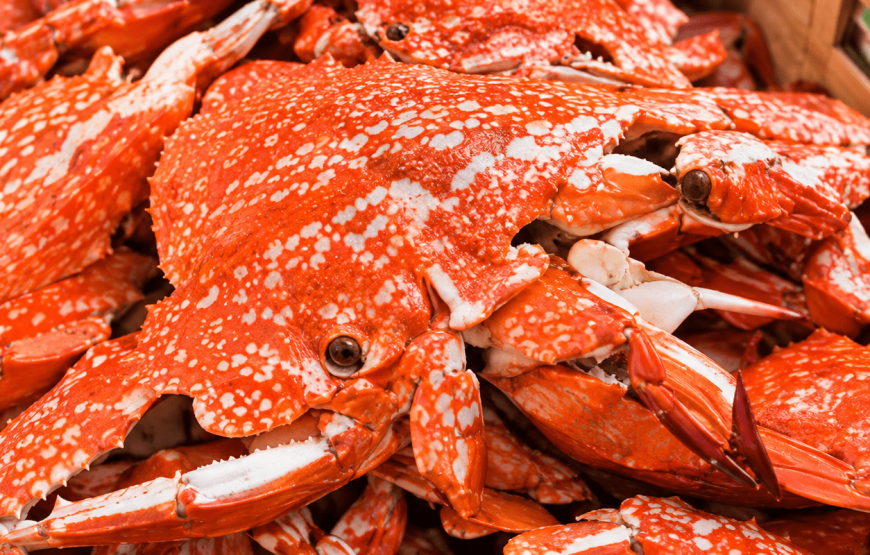 Catching Crab in the Mangrove Forest Half-Day Tour | Local Style