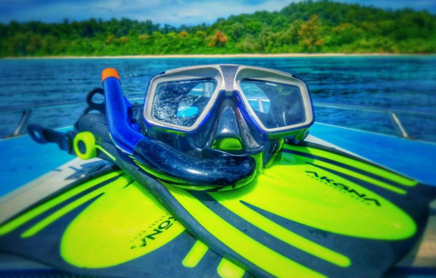 Koh Rok One Day Snorkeling Tour by Speedboat from Koh Lanta | OPAL Travel