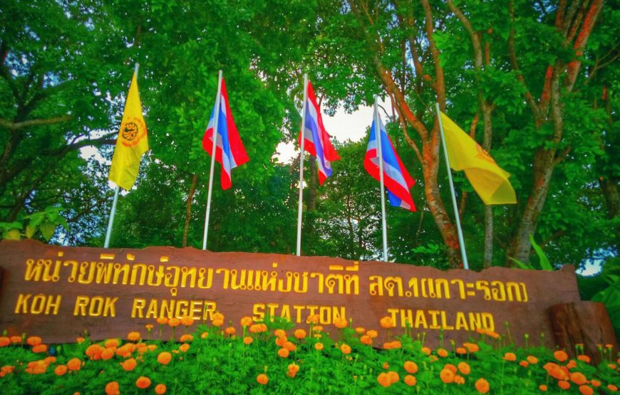 Koh Rok One Day Snorkeling Tour by Speedboat from Koh Lanta | OPAL Travel