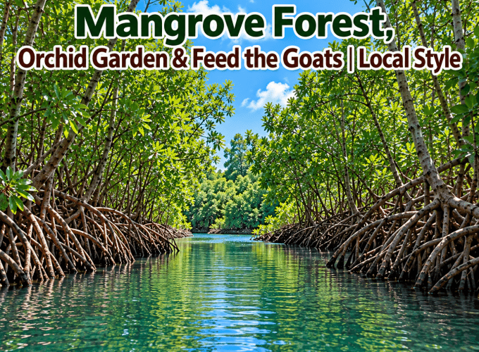 Mangrove Forest, Orchid Garden & Feed the Goats | Local Style