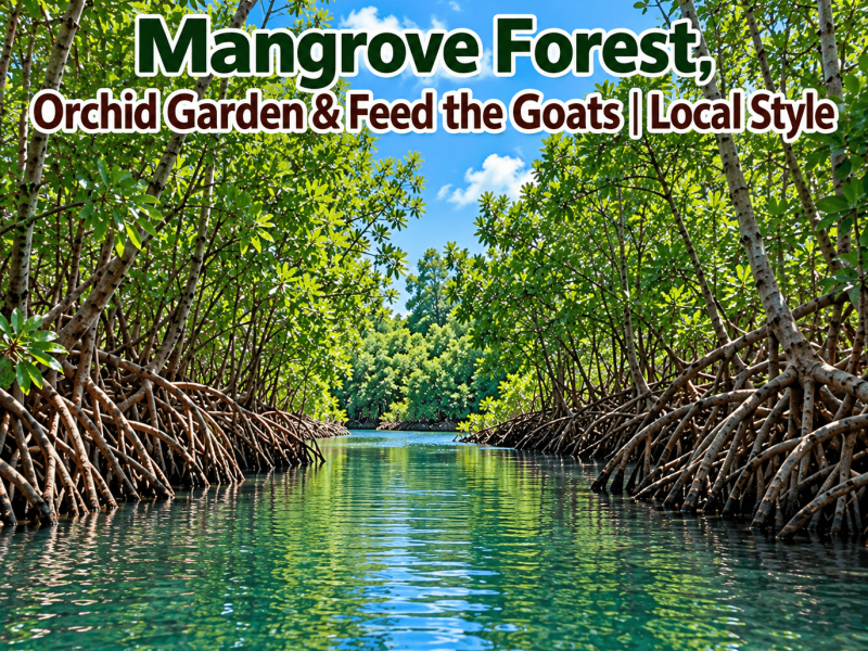 Mangrove Forest, Orchid Garden & Feed the Goats | Local Style