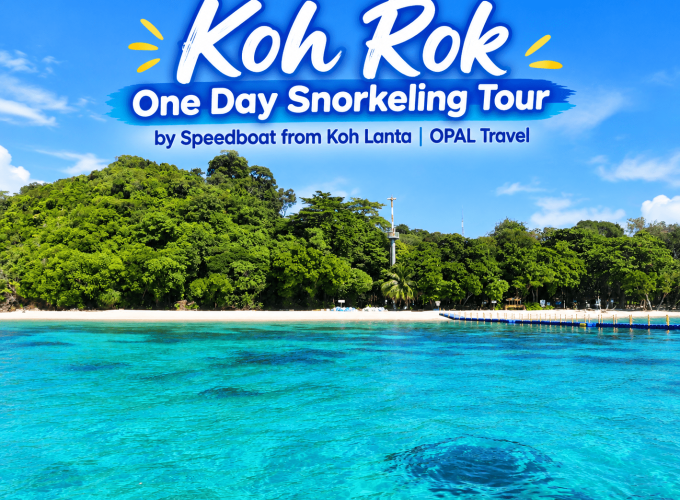 Koh Rok One Day Snorkeling Tour by Speedboat from Koh Lanta | OPAL Travel