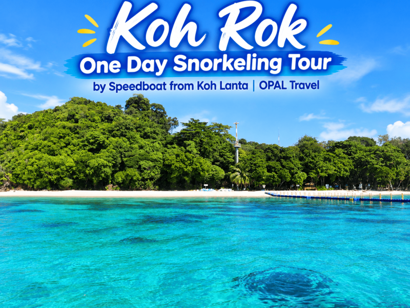 Koh Rok One Day Snorkeling Tour by Speedboat from Koh Lanta | OPAL Travel