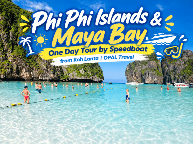 Phi Phi Islands & Maya Bay One Day Tour by Speedboat from Koh Lanta | OPAL Travel