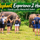 Elephant Experience 2 Hours | South Lanta Waterfall Safari
