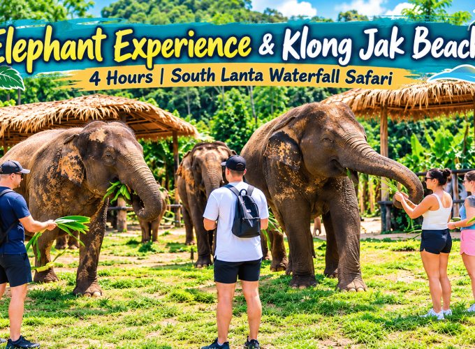 Elephant Experience & Klong Jak Beach 4 Hours | South Lanta Waterfall Safari