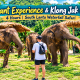 Elephant Experience & Klong Jak Beach 4 Hours | South Lanta Waterfall Safari