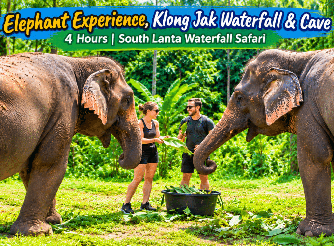 Elephant Experience, Klong Jak Waterfall & Cave 4 Hours | South Lanta Waterfall Safari