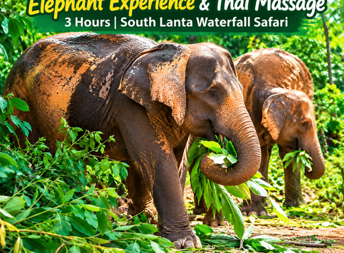Elephant Experience & Thai Massage 3 Hours | South Lanta Waterfall Safari