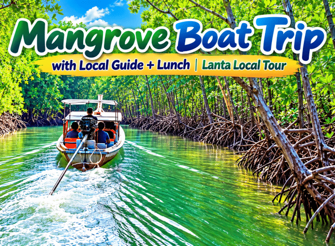 Mangrove Boat Trip with Local Guide + Lunch | Lanta Local Tour